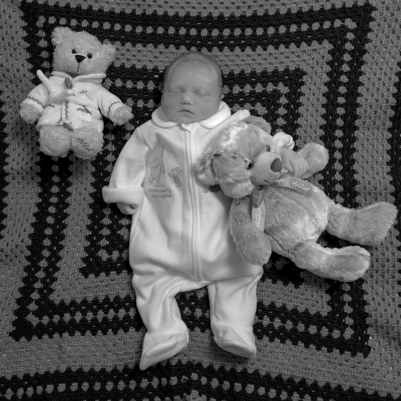 Winnie laying on a crocheted blanket with teddies